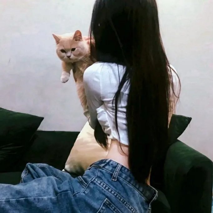 汤姆叔叔的小屋