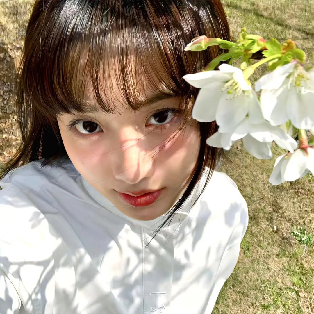 帝后互殴,但全宫都在磕CP